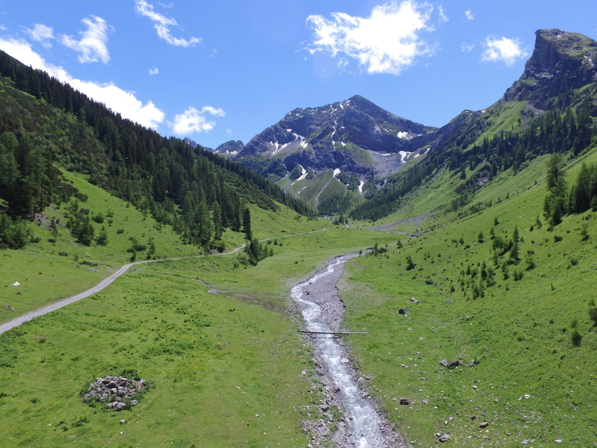 Dcim101mediadji 0036.jpg