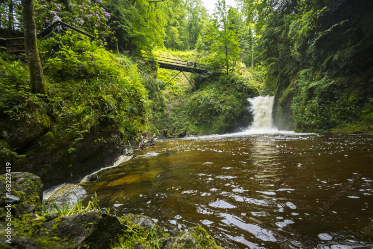 Schwarzwald in Bildern: Wasserfälle, Nebel und stille Wege
